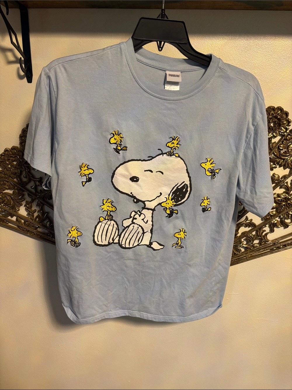 Peanuts Light Blue Snoopy & Woodstock Graphic Tee